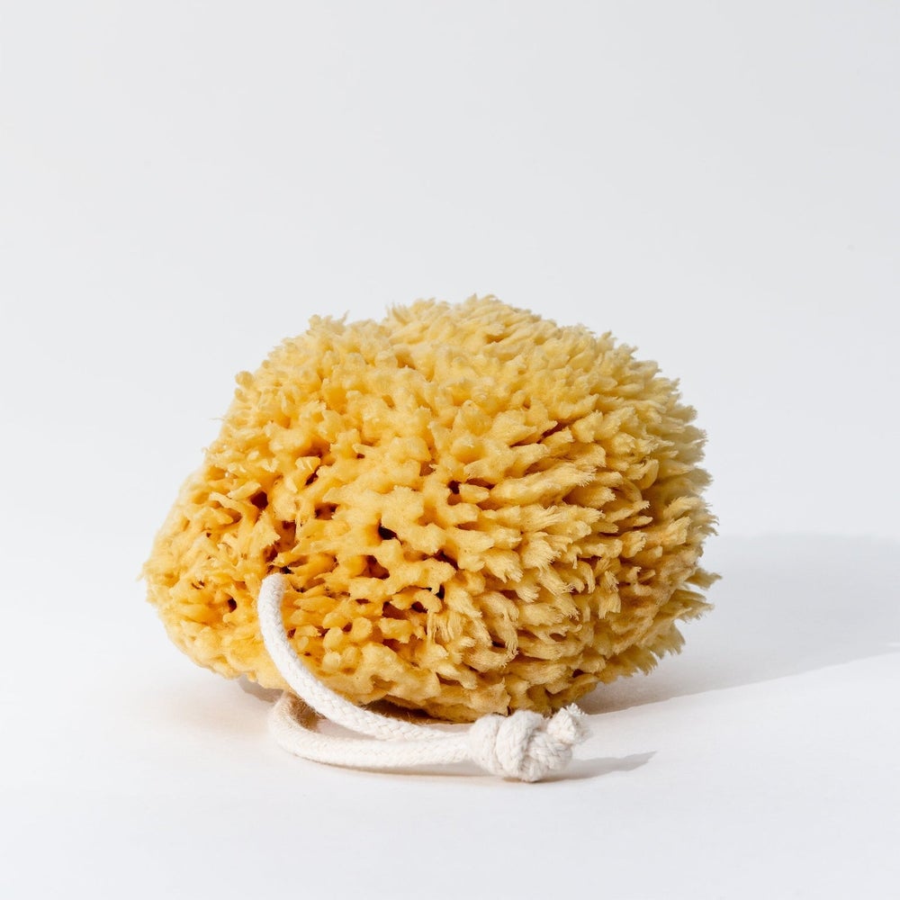 Grecian Sea Salt Sponge